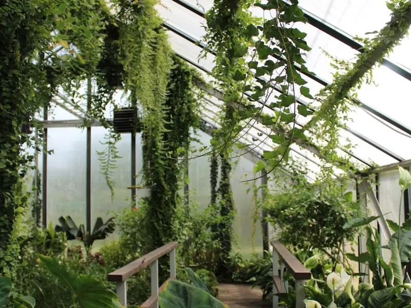 Greenhouse & Nursery